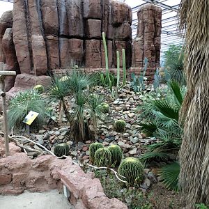View from the resting area in the desert