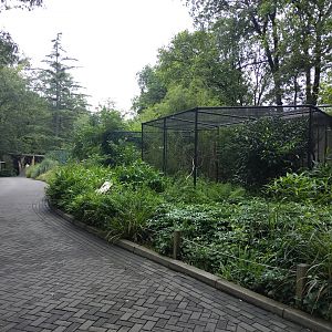 Aviaries of the bird house