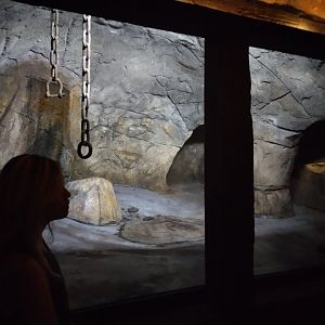 Bat enclosure, with the lights on