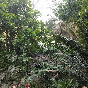 View of the butterfly hall