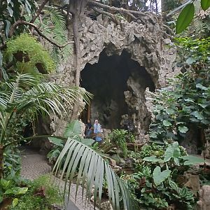 View of the butterfly hall