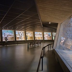 Inside view of the monkey house