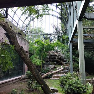 Aviary next to the hippo enclosure