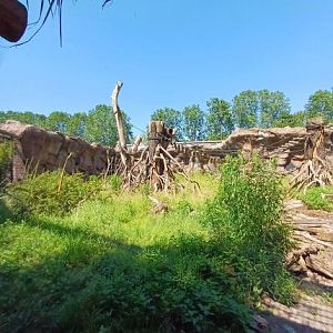 Amazon exhibit in affenhaus