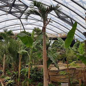 Meranti hall, overview