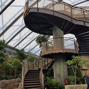 Meranti hall, treetoptrail