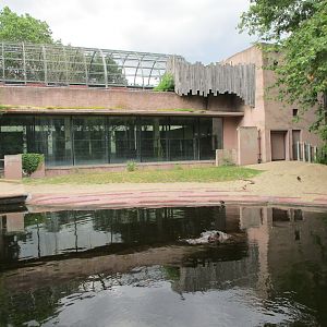 Outdoor hippo enclosure