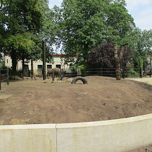 Extension of the elephant enclosure