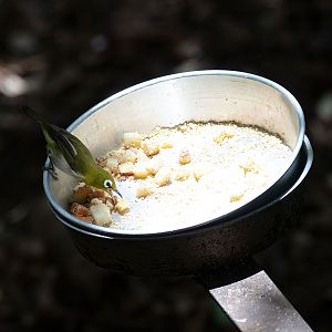 Green-backed White-eye