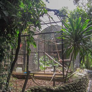 Aviary