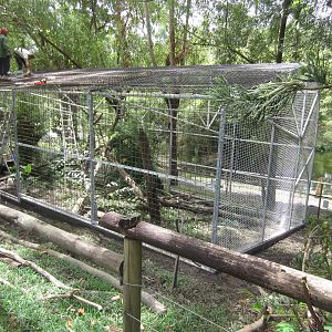 New Aviary under construction