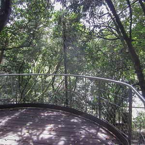 INterior of wlk-in aviary