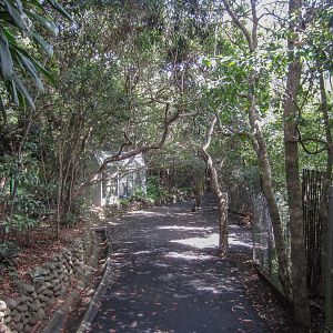Pathway through the Valley of the Endemics