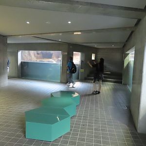 Inside the reptile house