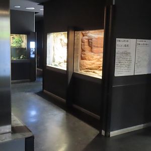 Reptile house interior
