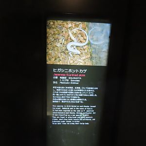 Signage in the reptile house