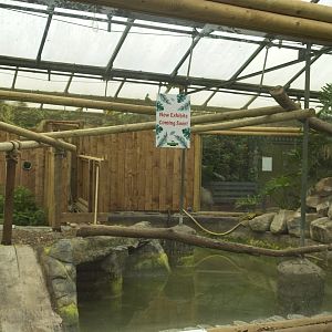 Enclosure (empty) in tropical house.
