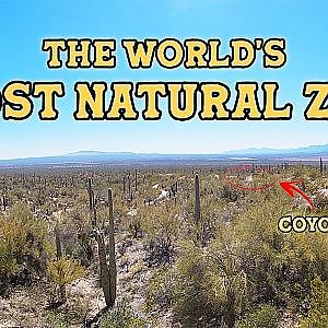 The Arizona Sonora Desert Museum Intro | The Virtual Zoo on YouTube