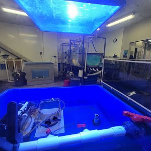 Greensboro 2/2023 - Propagation area