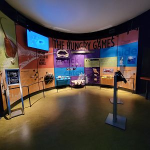 Greensboro 2/2023 - "The Hungry Games"