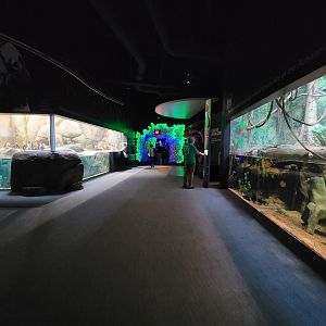 Greensboro 2/2023 - Path to fish, penguins on left, Amazon on right