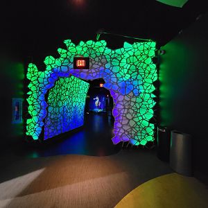 Greensboro 2/2023 - Path to fish