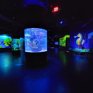 Greensboro 2/2023 - Fish tank area