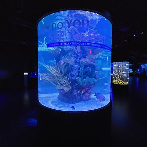 Greensboro 2/2023 - How do you see the sea?