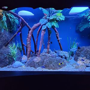 Greensboro 2/2023 - Communities Connected tank