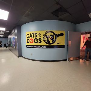 Greensboro 2/2023 - Traveling/rotational exhibit area