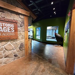 Greensboro 2/2023 - Prehistoric Passages: Realm of Dragons