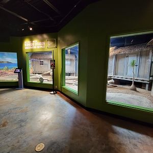Greensboro 2/2023 - Prehistoric Passages, Komodo Dragon indoor area