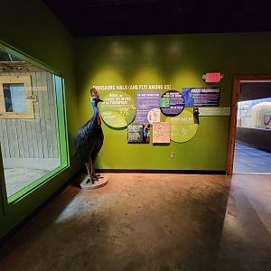 Greensboro 2/2023 - Prehistoric Passages, Dinosaurs Walk (and fly!) Among Us