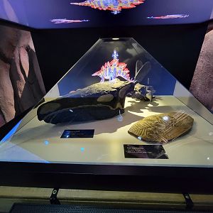 Greensboro 2/2023 - Prehistoric Passages, HOLOGRAMS