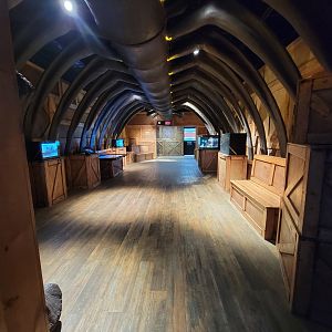 Greensboro 2/2023 - Prehistoric Passages, exit area, some stuff about birds