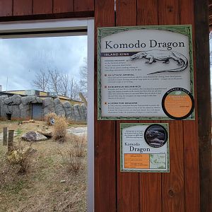 Greensboro 2/2023 - Komodo dragon yard