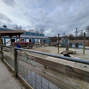 Greensboro 2/2023 - Friendly Farm