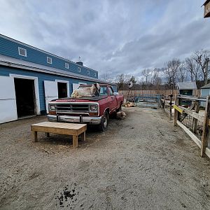 Greensboro 2/2023 - Friendly Farm