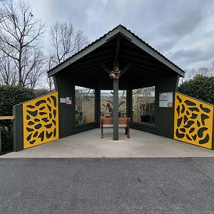 Greensboro 2/2023 - Friendly Farm, Black Howler