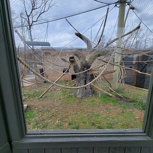 Greensboro 2/2023 - Friendly Farm, Black Howler