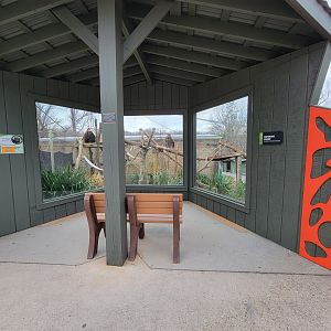 Greensboro 2/2023 - Friendly Farm, Binturong