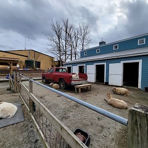 Greensboro 2/2023 - Friendly Farm