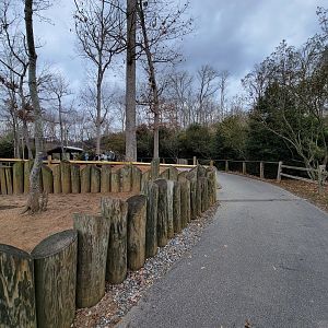 Greensboro 2/2023 - Path past Aldabras