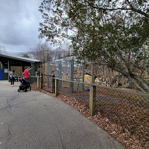 Greensboro 2/2023 - Javan gibbons