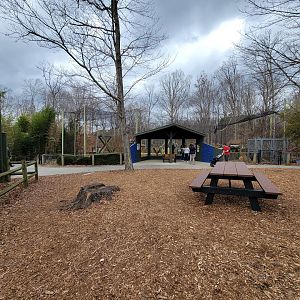 Greensboro 2/2023 - Javan gibbons