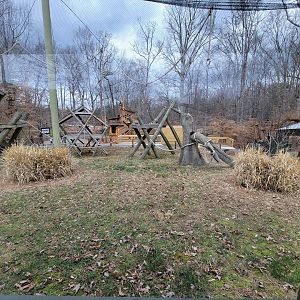 Greensboro 2/2023 - Javan gibbons