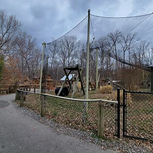 Greensboro 2/2023 - Javan gibbons