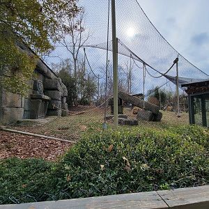 Greensboro 2/2023 - Javan gibbons