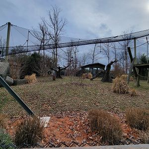 Greensboro 2/2023 - Javan gibbons