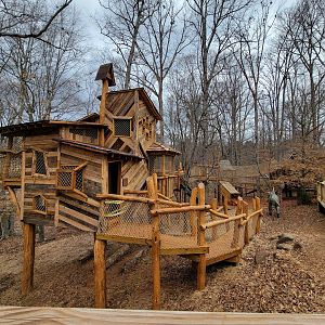 Greensboro 2/2023 - Kiwanisaurus Treehouse Adventure